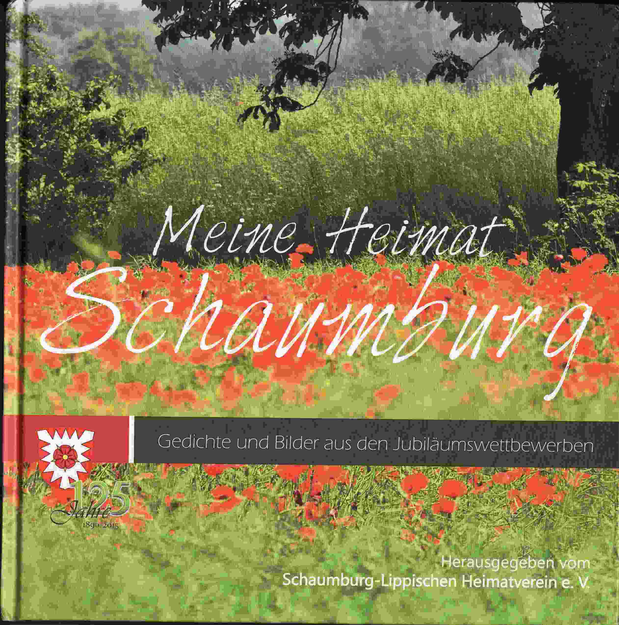 Buch Schaumburg_web