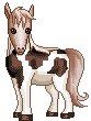 Pony